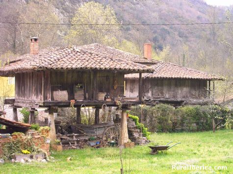 En estado puro. Soto de Cangas, Asturias - Soto de Cangas, Asturias, Asturias